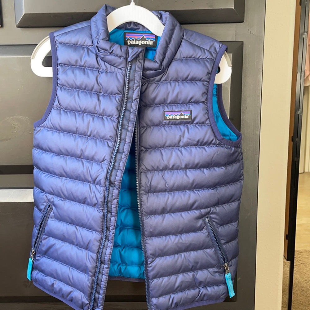 Patagonia Down Vest